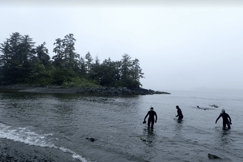 Sitka: Kelp Forest Snorkel Tour