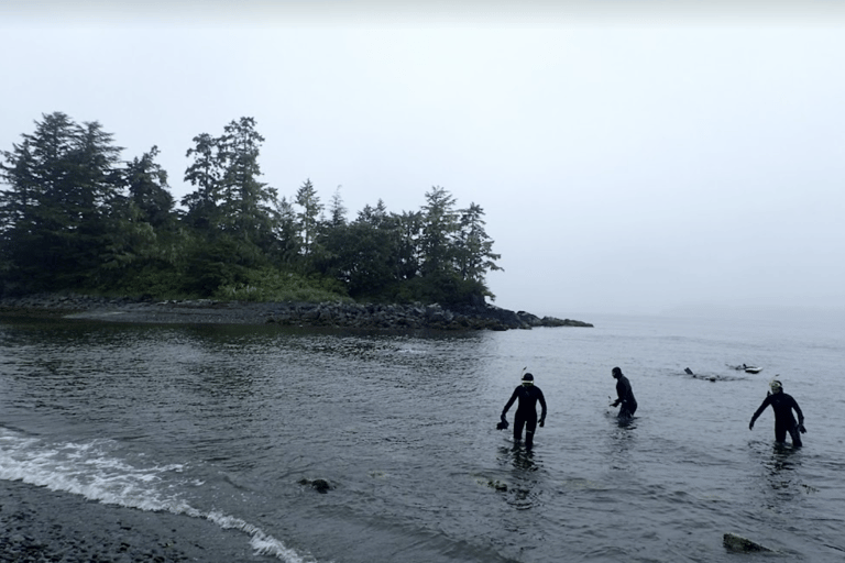 Sitka: Kelp Forest Snorkel Tour