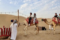 Dubai, Deset Ride, Camel Riding, Sandboard & Buffet Diner - Hizvo