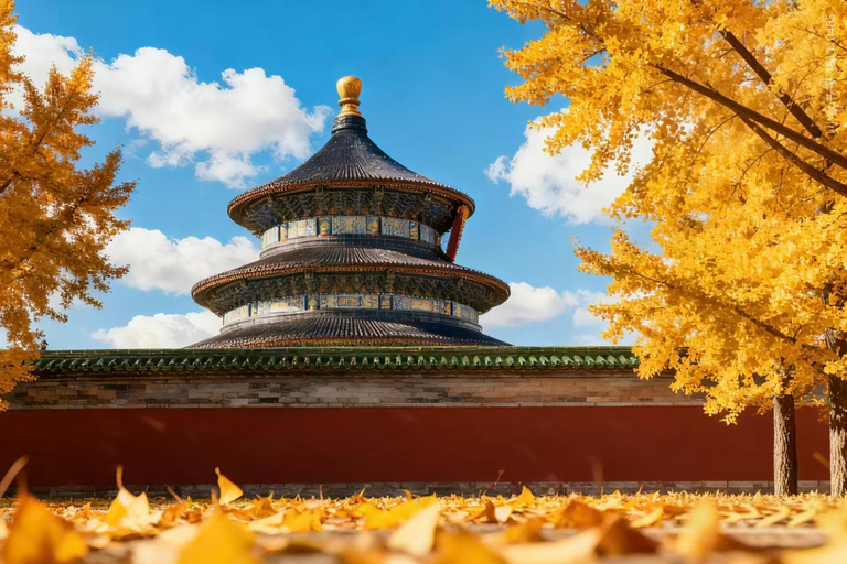 Beijing: All-Inclusive Great Wall & City Highlights Tour The Great Wall+Lunch+Square+Forbidden City & Licensed Guide