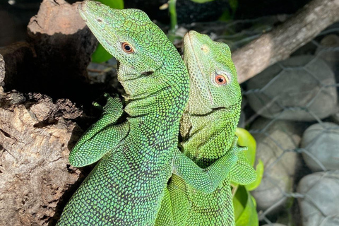 Royan : billet d&#039;entrée à Planet Exotica