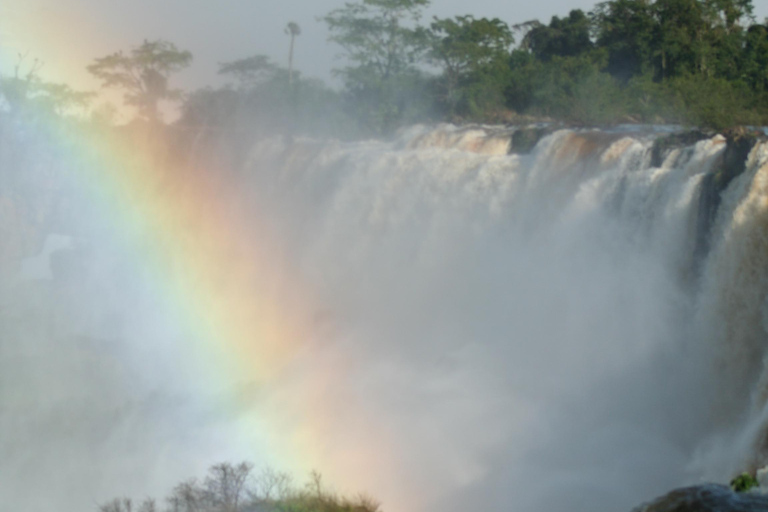 Odkrywanie wodospadów Iguazu w Argentynie