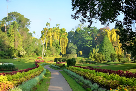 Kandy: Guided City Tour with Lunch and Cultural Show