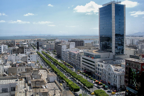 Tunis : Visite de la vieille médina, du Bardo, de Carthage et de Sidi Bousaid