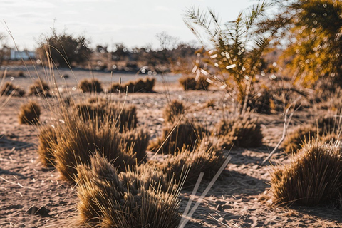 Moshi: Chemka Hot Springs Day Trip with Accommodation Pickup