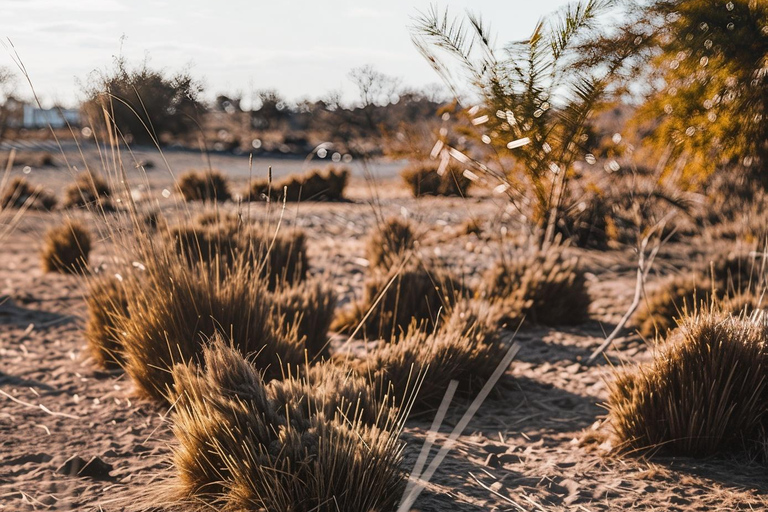 Moshi: Chemka Hot Springs Day Trip with Accommodation Pickup