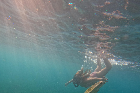 From Lombok Private Snorkeling 3 Gili All Inclusive