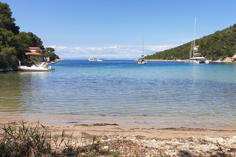 Hvar:Blue & Grenn Cave and Vis Island Private Speedboat Tour