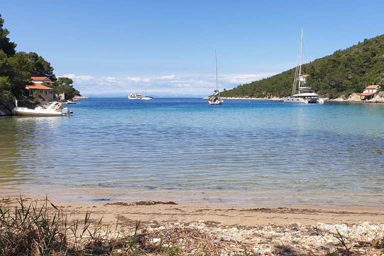 Hvar:Blue & Grenn Cave and Vis Island Private Speedboat Tour
