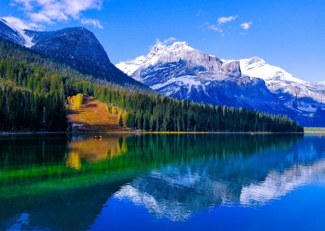Visit Lake Louise and Emerald Lake Full Day Tour in Banff