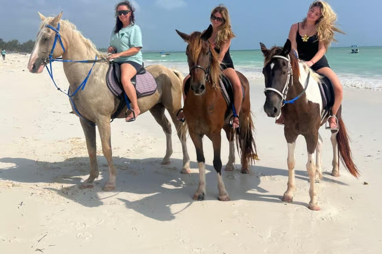 Zanzíbar: paseo a caballo por la playa con recogidaOpción con tarifas de equitación pero sin traslado incluido