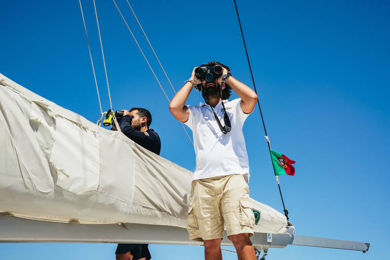 Funchal : Observation des dauphins et des baleines en catamaran de luxeObservation des dauphins et des baleines Catamaran de luxe