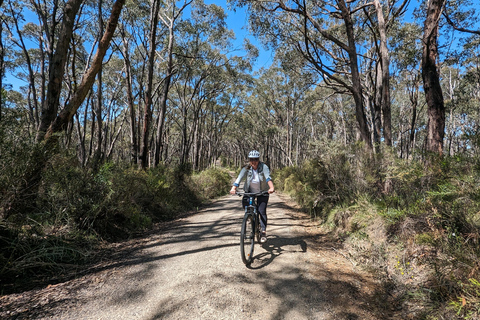 Adelaide Hills : Visite guidée des vignobles en E-Bike avec déjeuner