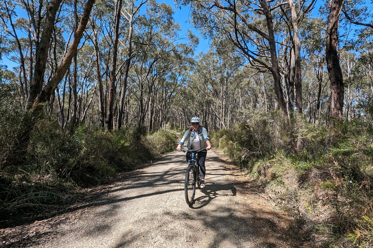 Adelaide Hills: Tour guiado de E-Bike pelos vinhos com almoço