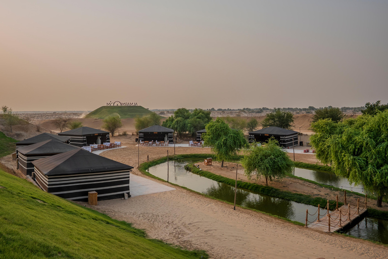 Dubai: Full-Day Desert Safari, Wildlife at Al Marmoom Oasis Shared Tour & Shared Tent