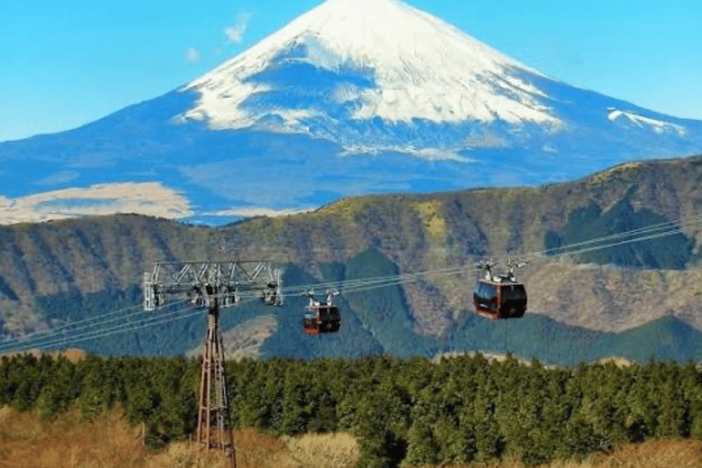 From Tokyo: Mount Fuji Full Day Customizable Private Tour