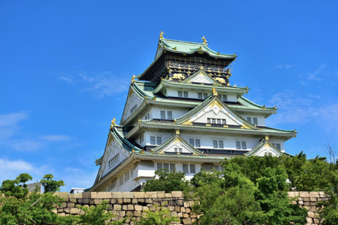 Osaka Highlights Tour: Castle, Dotonbori & Hidden Gems