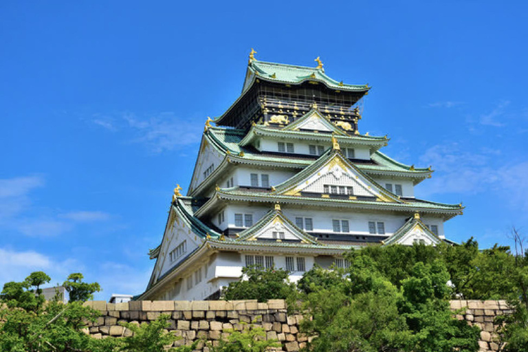 Osaka Highlights Tour: Castle, Dotonbori & Hidden Gems