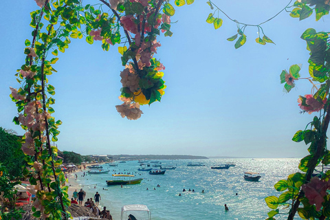 Journée de plage tranquille pour les VIP