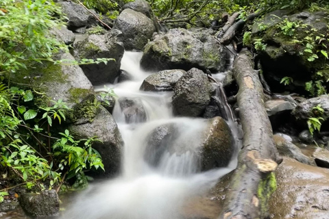 Waikiki: Hidden Hawaii Waterfall Hike and Beach Tour