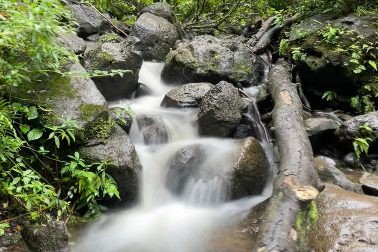 Waikiki: Hidden Hawaii Waterfall Hike and Beach Tour