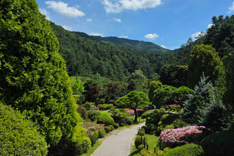 From Seoul: Garden of Morning Calm Day Tour by train