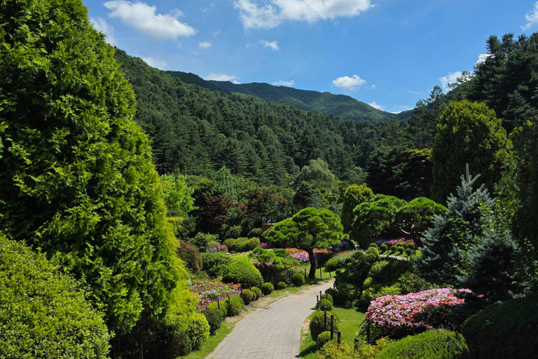 From Seoul: Garden of Morning Calm Day Tour by train