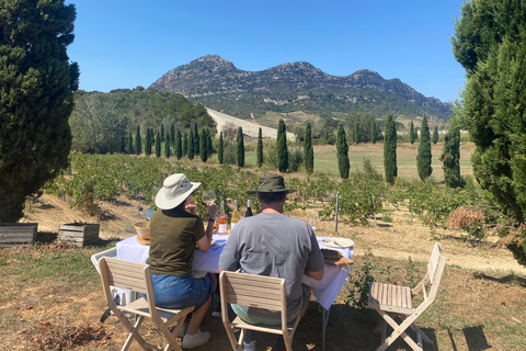 Degustação de vinhos em PatrimonioCasta