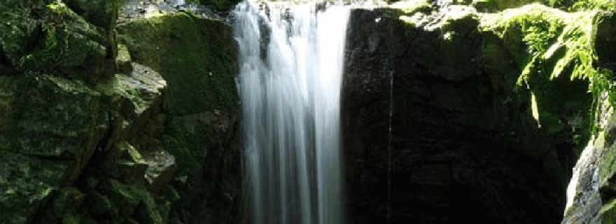 Jardin d'orchidées de Nadi, randonnée dans les cascades avec source d'eau chaude et bain de boue