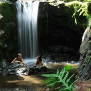 Nadi Orchid Garden, Wasserfall-Wanderung mit Hotspring & Mudpool