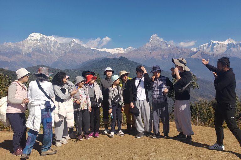 Da Kathmandu: Trekking facile di 5 giorni e tour della città di PokharaDa Kathmandu: 5 giorni di trekking facile e tour della città di Pokhara