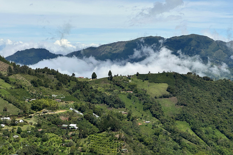 From Medellín: Coffee Tour and Zip Line in the Mountains