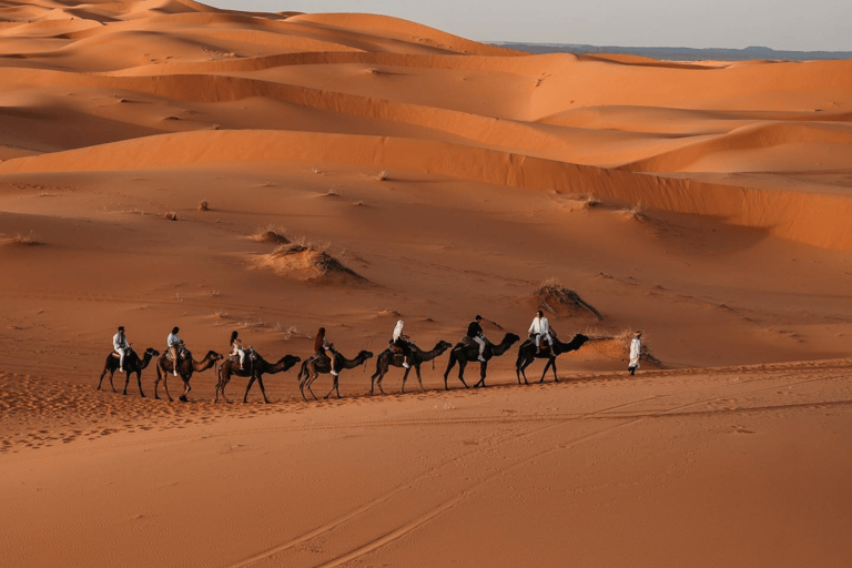 Da Fez: Escursione di due giorni nel deserto di Merzouga con campo tendato nel desertoCampo nel deserto di lusso