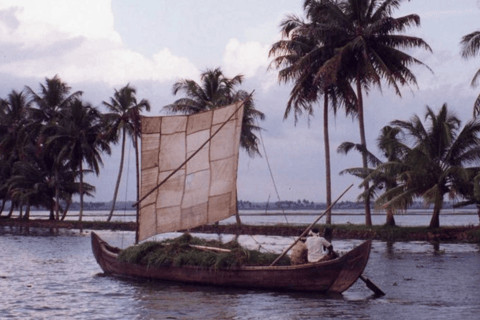 海得拉巴：柯钦 3 日游（含机票和酒店）海得拉巴：3 天科钦之旅（含机票和酒店）