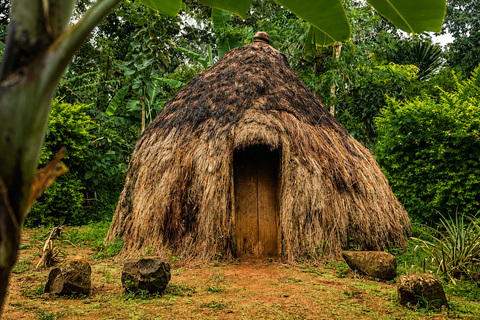 From Arusha: Marangu Village Tour with Coffee & Waterfall