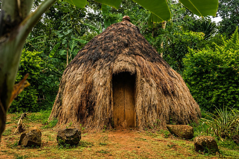 From Arusha: Marangu Village Tour with Coffee & Waterfall