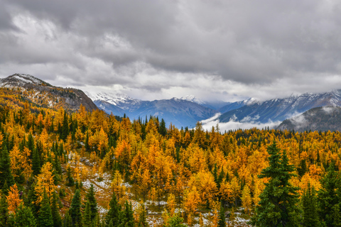 Banff Fall Tour: Lakes, Mountains, Falls & Autumn Views
