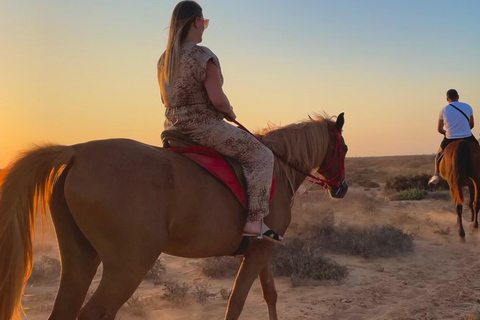 Horse Riding on Sidi Jemour Beach – Coastal Adventure SUNSET Horse Riding on Sidi Jemour Beach – Coastal Adventure