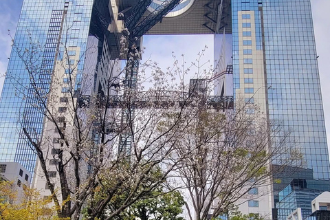 Osaka & Nara: Private Tour with English speaking guide Osaka & Nara: Couple friendly tour with vehicle and guide