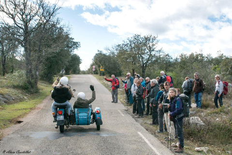 Dzień Wine-Tour: w wąwozach Verdon