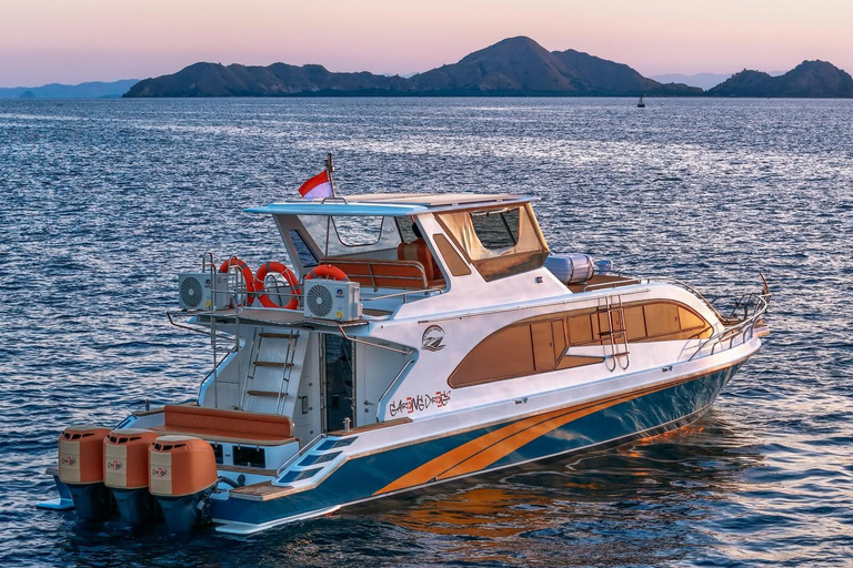 Labuan Bajo: Komodo Day Trip with Drone, GoPro & Snorkeling