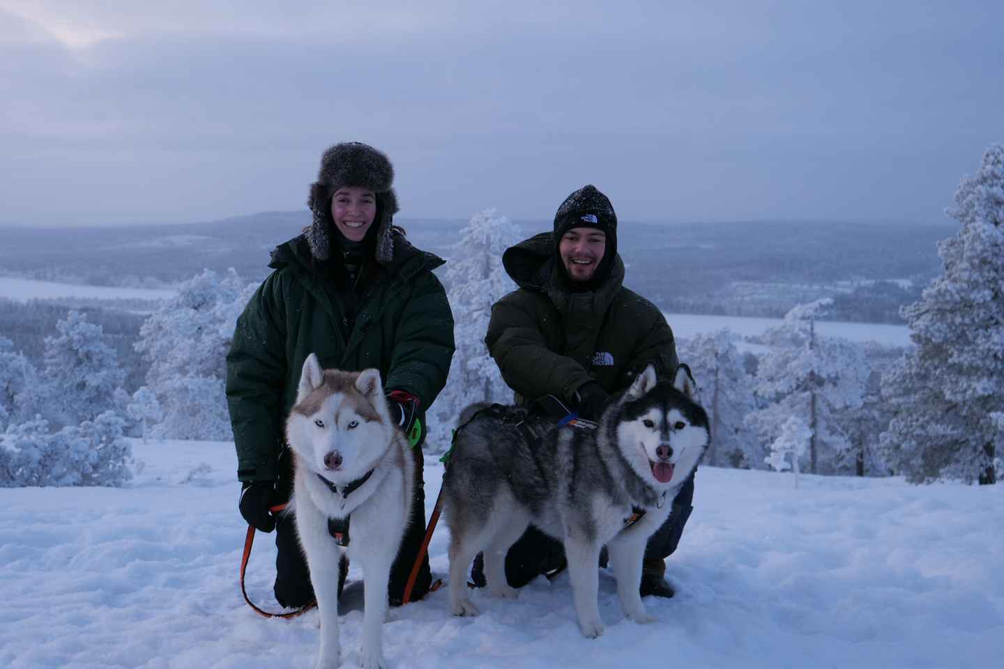 Overkalix - Lapland : Husky Adventure with Grill Kåta Lunch