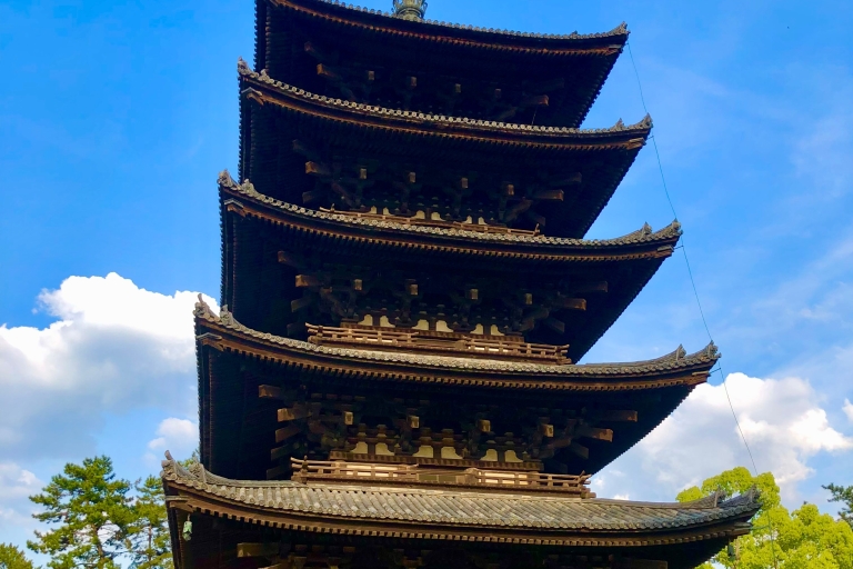 Nara PRIVÉ TOUR: Todai-ji y parque de Nara (Spaanse gids)Nara: Todai-ji y parque de Nara PRIVATE TOUR (Spaanse Gids)