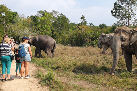 Kulen Elephant Forest &amp; Tonlesap LakeKulen Elephant Forest by Sharing Group Tours