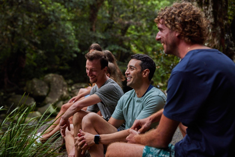 Cairns : Visite guidée de la forêt tropicale, du littoral et des sites touristiques