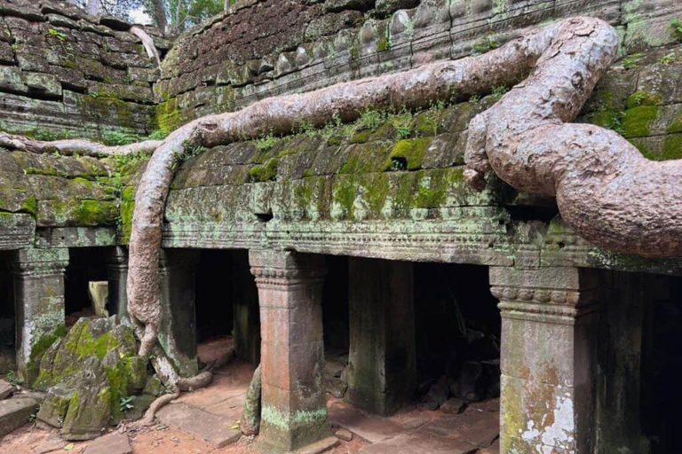 Angkor Wat & Must-See Temples Private Tour by Tuk Tuk Add Sunrise Tour Option