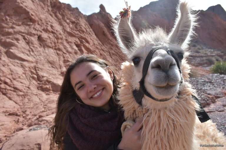 Purmamarca: Hiking with Llamas through multicolored mountains