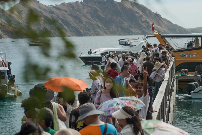 Labuan Bajo: Full-Day Komodo Speedboat Tour with Snorkeling