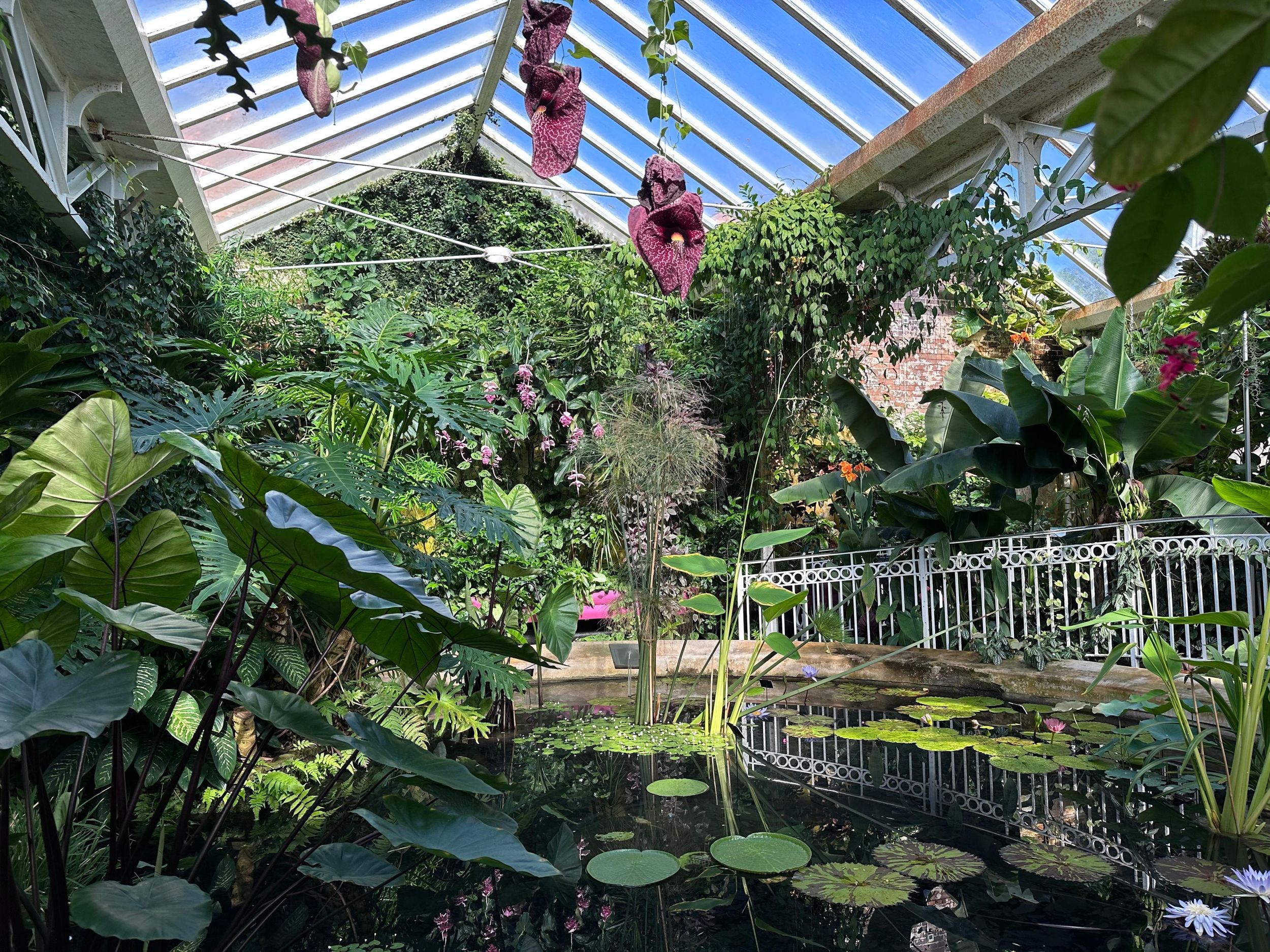 Birmingham: Eintrittskarte für die Botanischen Gärten