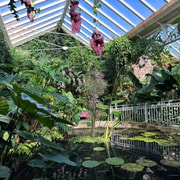 Birmingham: Botanical Gardens Entry Ticket